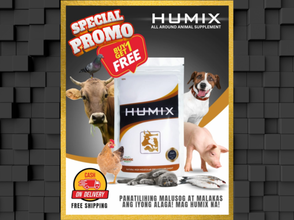 RESELLER’S BUNDLE 10 - Image 6
