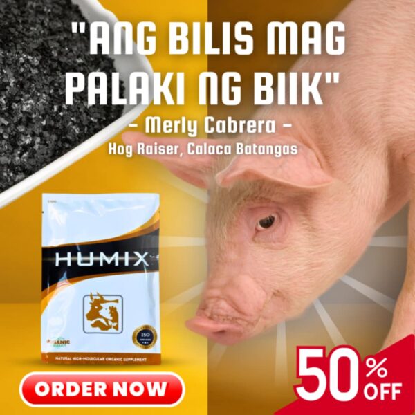 HUMIX - Image 5